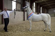 2009 SEAHG Spring Show