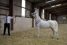 2009 SEAHG Spring Show