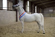 2009 SEAHG Spring Show