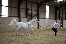 2009 SEAHG Spring Show