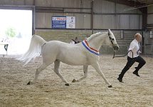 2009 SEAHG Spring Show