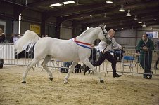 2009 SEAHG Spring Show