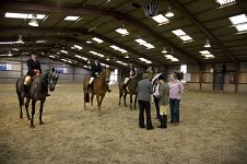 Anglo & Part Bred Arab Novice Ridden Over 153cms