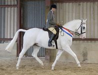 2009 SEAHG Spring Show