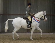 2009 SEAHG Spring Show
